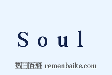 Soul是什么意思的图片
